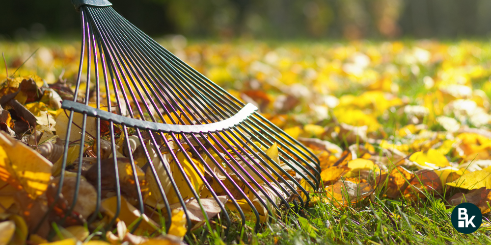 Consigli pratici per la cura del giardino in autunno